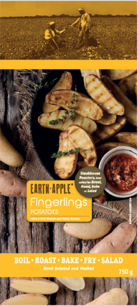 Fingerling Potato from 남아프리카공화국 supplied by Fresh In Time Club - Washed 신선 일반 감자