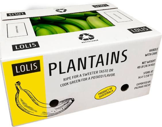 Plantain (Green) from 과테말라 supplied by Palmar Fresh - 신선 플랜테인