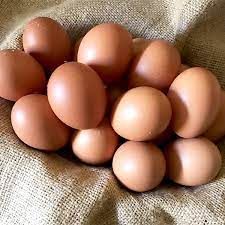 Fresh Chicken Egg from Germany supplied by Geflügelhof Wirtz - In Shell Chicken Egg