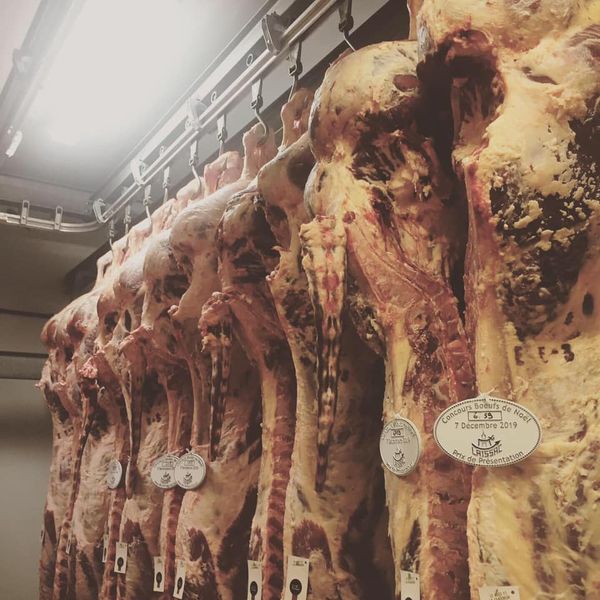 Fresh whole Beef from France supplied by ALAZARD ET ROUX S.A.S. - Without Head (=Headless) Fresh Whole Beef
