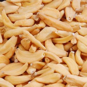 Dehydrated Garlic from 인도 supplied by R M Foods - Chopped 신선 마늘