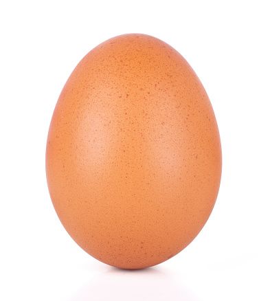 Organic Chicken Eggs from 오스트리아 supplied by trOadOa GmbH - Edhofer - Organic 달걀