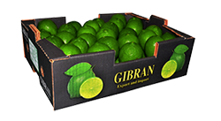 Fresh Citrus Lime Tahiti from 브라질 supplied by Gibran Exportadores de Frutas Cítricas Ltda. - Carton Box (=Cardboard Box) 신선 라임