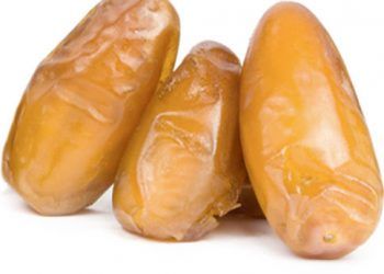 Date from 알제리 supplied by Tayba Dates - Conventional 신선 대추야자
