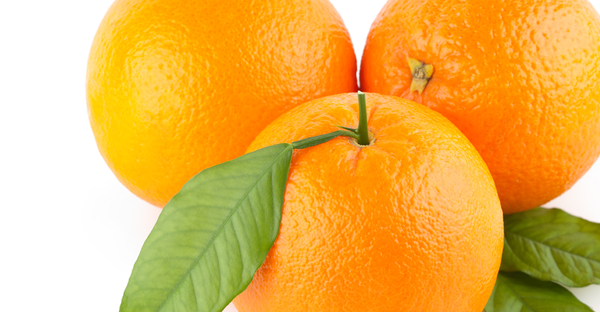 Fresh Whole Maltese Orange from 튀니지 supplied by Societe Agro Export Sahel-SAGES - Carton Box (=Cardboard Box) 신선 오렌지