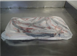 Chub Mackerel from 러시아 supplied by LLC RPK Northern - 고등어 냉동 고등어