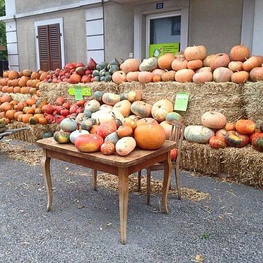 Pumpkin from Switzerland supplied by Fäschtus' Biohof - Orange Fresh Common Pumpkin