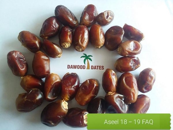 Dried Date from 파키스탄 supplied by Dawood Dates - Dried 말린 대추야자