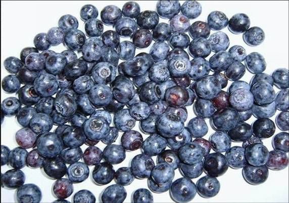 Blueberry from China supplied by Qingdao Sinocrown Industry Co.,Ltd - Dark Blue Fresh Blueberry