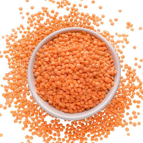 Red Split Lentils from 미국 supplied by AGT Food and Ingredients - 레드 렌틸 말린 렌틸