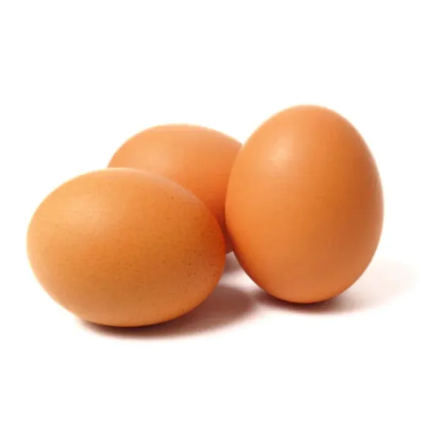 Organic Egg from Belgium supplied by Hof ter Lint - Organic Chicken Egg