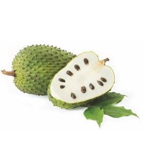 Frozen Soursop Pulp from Italy supplied by Nectarvis srl - Pulp Fresh Soursop