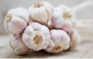 Garlics, Shallots, Gingers and onions. from Thailand supplied by RUNGRUENG AGRI FOOD CO., LTD. - Farmed Fresh Garlic