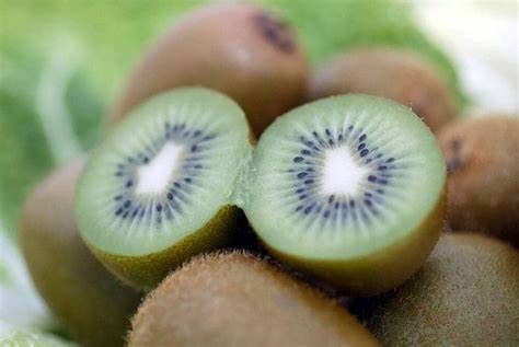 Fresh Kiwi from 프랑스 supplied by VERGERS DU LITTORAL - Green 신선 키위