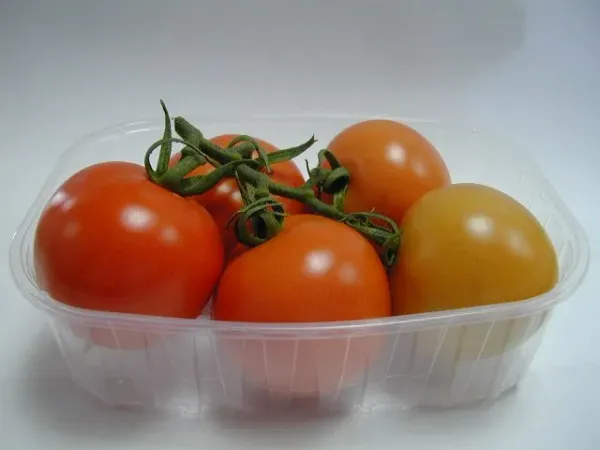 Tomatoes from Spain supplied by Frutas Alhambra SL - Turning Red Fresh Tomato