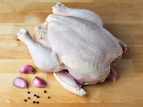 Fresh Chicken Meat from Germany supplied by Bauernhof Oderaue GbR - Fresh (=Chilled=Raw) Frozen Whole Chicken