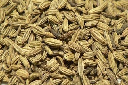 Fennel Seed from United States supplied by Salem Botanicals Corp. - Dried Fennel Seed