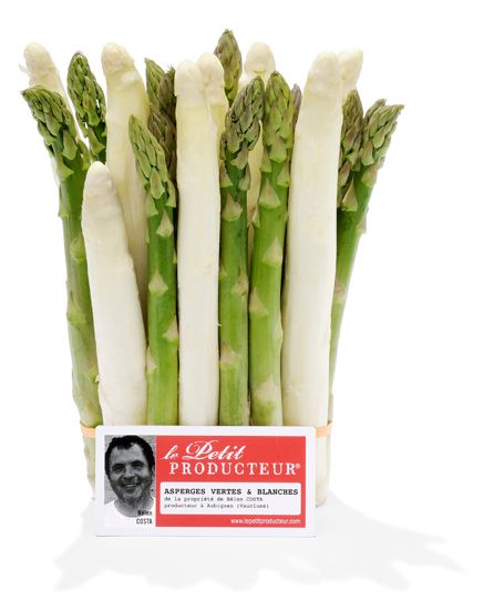 Asparagus from 프랑스 supplied by Le petit producteur - White 신선 아스파라거스