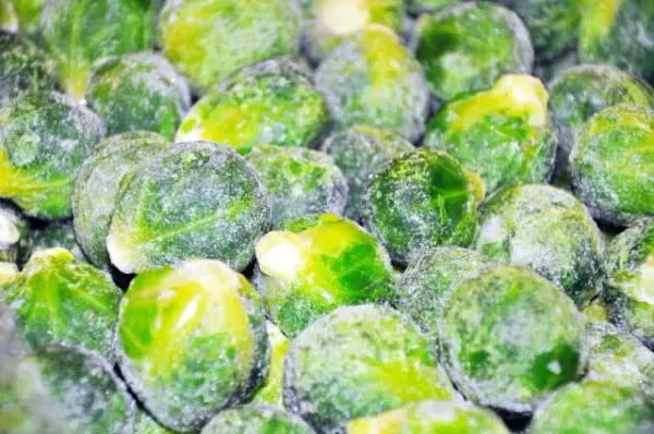 Frozen Brussels Sprout from 튀르키예 supplied by Meydere - Green 방울양배추