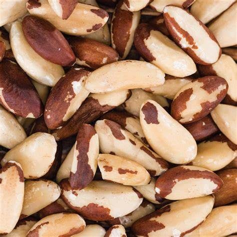 Brazil Nut Kernel from 폴란드 supplied by WacMac - Raw (=Natural) 브라질너트 알맹이