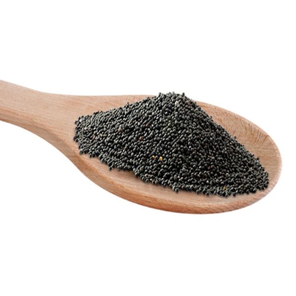 Rapeseed from 독일 supplied by German Grain TAB GmbH - Whole 카놀라 씨 및 유채 씨