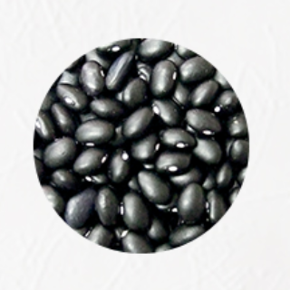 Black Bean from United States supplied by Trinidad Benham - Fresh (=Chilled) Black Bean