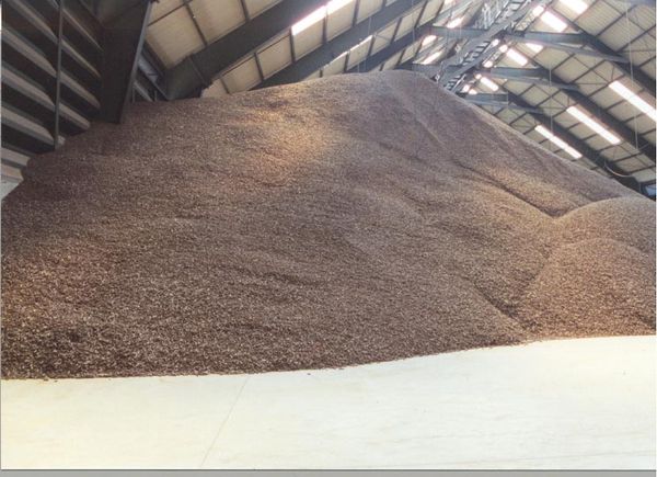 Sugar Beet Granulated Pulp from 러시아 supplied by OJSC Zainsky Sugar - Small 비트펄프