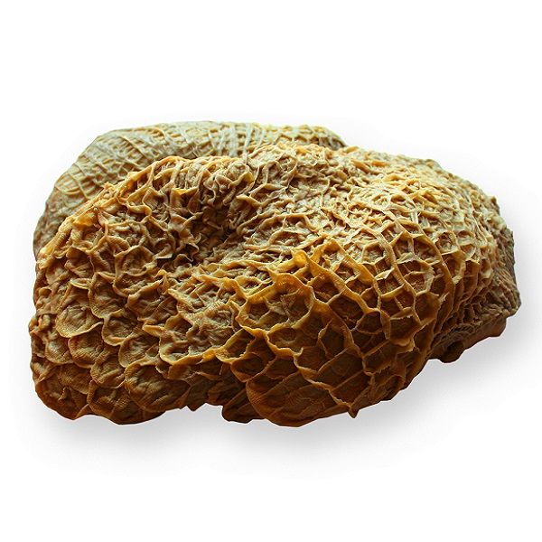 Frozen beef honeycomb, frozen cow stomach, honeycomb from Ukraine supplied by Euro-Commerce LTD - Others Fresh Whole Beef