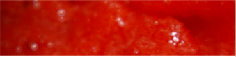 Fresh Strawberry from 멕시코 supplied by Alimentos Profusa S.A. de C.V. - Plastic Punnets (=Clamshells) 신선 딸기