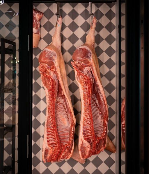 Fresh Pork from 벨기에 supplied by Vanderpoorten - 머리 없음(=헤드리스) 신선 돼지고기 햄 및 목살