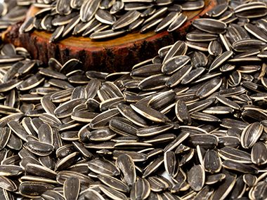 Sunflower Seed from China supplied by Dalian Jiahong Brothers Int'l Trading Co., Ltd. - Striped Sunflower Seed