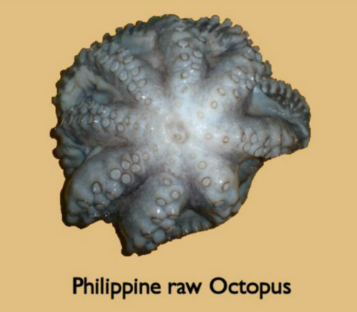 Raw Octopus from United States supplied by Union Fish Co - Fresh (=Chilled=Raw) Frozen Octopus