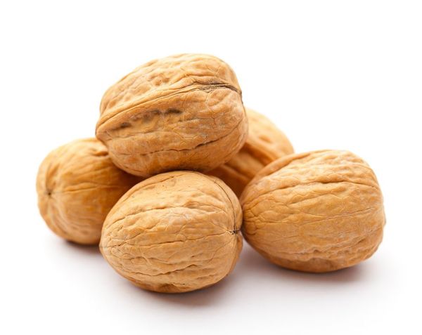 Walnut from 그리스 supplied by Dryfo - Menexopoulos Bros - In-shell 생호두