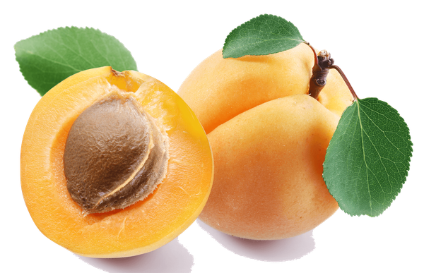 Apricot from Moldova supplied by Ionex Trans SRL - Red Fresh Apricot