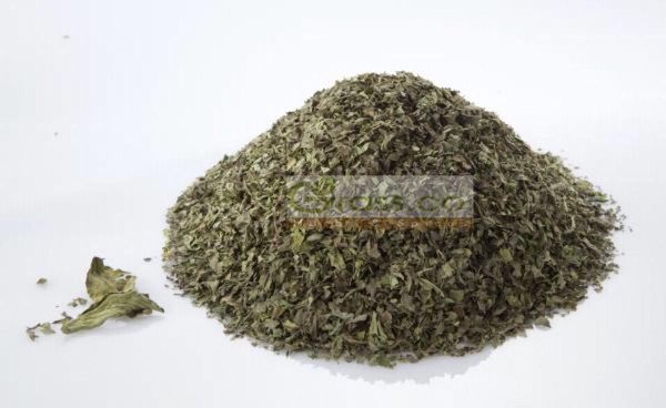 Basil from 이집트 supplied by Grass Co. Herbs and Spices - As per customer's request 바질