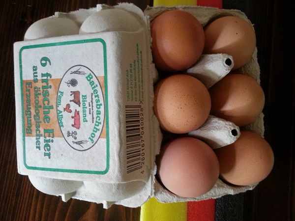 Fresh Chicken Egg from Germany supplied by Biolandhof Alber - In Shell Chicken Egg