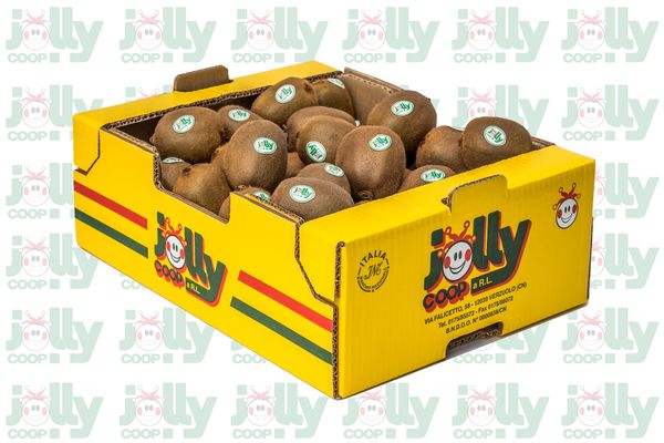 Kiwi from Italy supplied by Coop Jolly - Green Kiwi - Green Light Fresh Kiwifruit