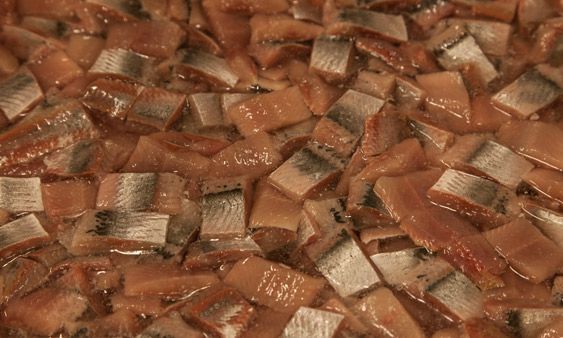 Marinated Herring from Norway supplied by Hopen Fisk AS - Atlantic Herring (=Clupea harengus =Sea Herring =Sild =Common Herring =North Sea Herring =Norwegian Spring Spawning herring) Herring