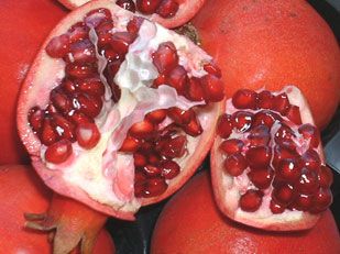 Pomegranate from 남아프리카공화국 supplied by Alternafruit - Whole 신선 석류