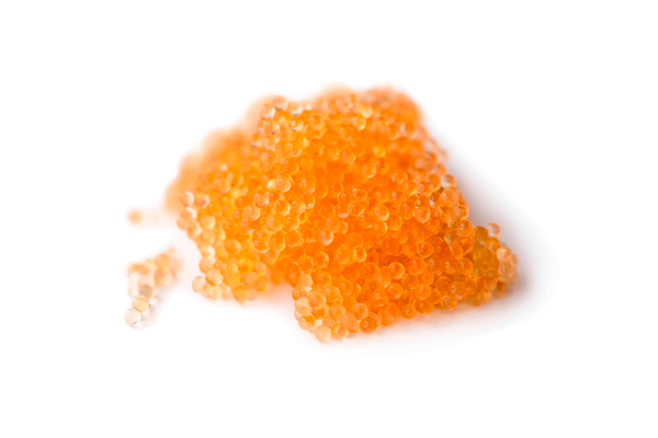 Flying Fish Roe from 페루 supplied by EL BOSQUE E.I.R.L. - Flying Fish (=Exocoetidae) 기타 대구과 생선