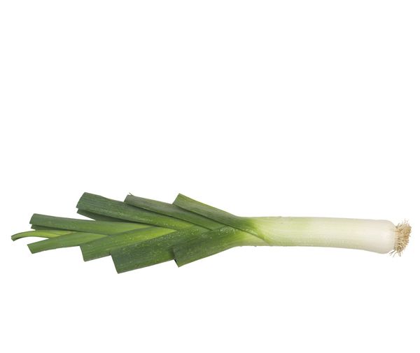 Fresh Leek from Germany supplied by Maren Beckmann GmbH - Fresh (=Chilled) Leek