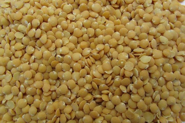 Repelled Lentils from 스페인 supplied by MD Pelcam - Small 말린 렌틸