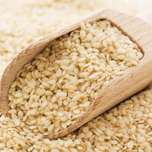 Sesame Seeds from 시리아 supplied by General Trading Service Center (G.T.S.C.) - White 참깨