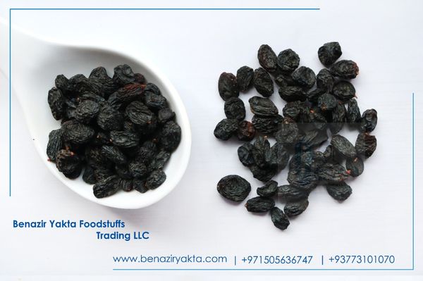 Raisin from 아프가니스탄 supplied by Benazir Yakta Trading Company - Dried 건포도