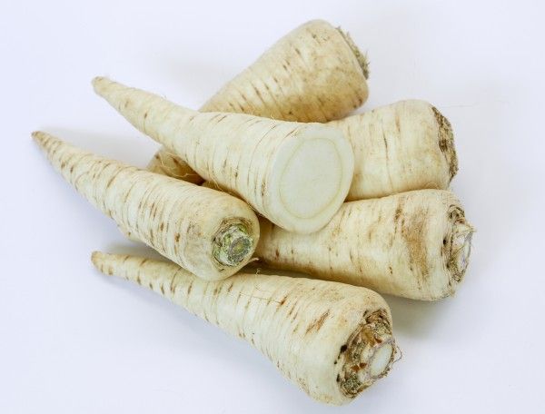Parsnip from Germany supplied by Knoblauchsland Gemuse Shop GmbH - Unspecified Parsnip