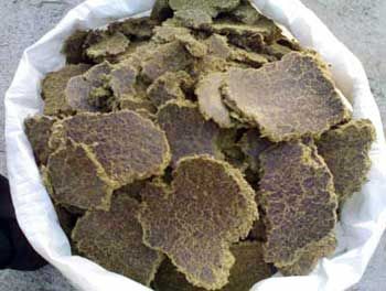 Cotton Seed Meal from 인도 supplied by Mayur Ginning and Pressing Pvt. Ltd. - Cake (Oilcake) 목화씨깻묵