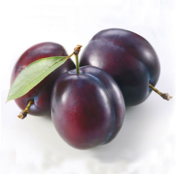 Fresh and Frozen Plum from 세르비아 supplied by Lipkom d.o.o. - Fresh (=Chilled) 신선 자두