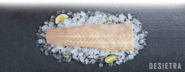 Sturgeon Meat from Germany supplied by DESIETRA - Beluga (=Huso huso) Frozen Sturgeon