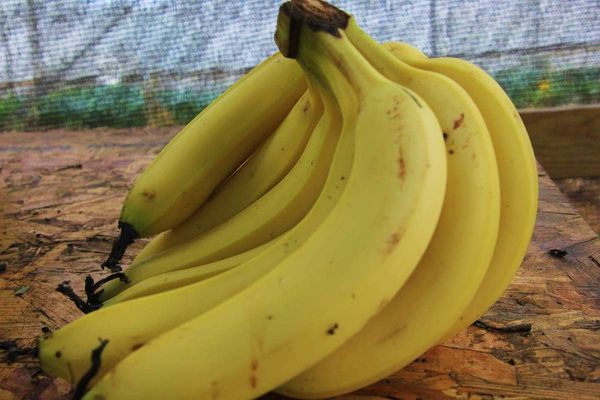 Banana from Israel supplied by Etz Hasade - Whole Fresh Banana
