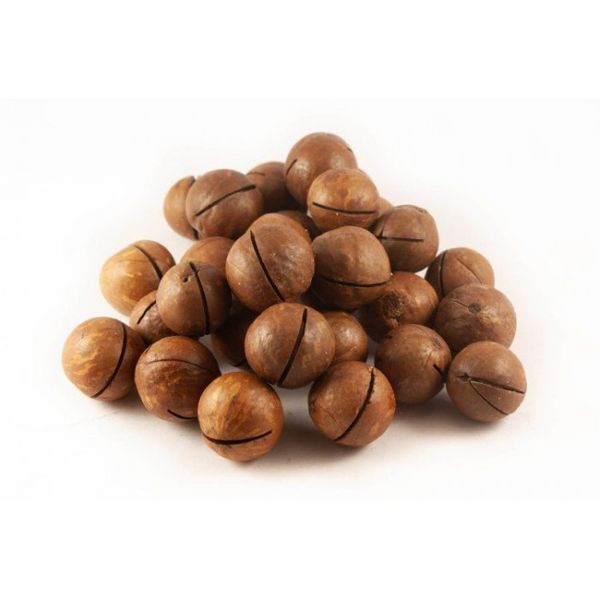 In-shell Macadamia from 남아프리카공화국 supplied by Valley Macadamias - In-shell 마카다미아 알맹이